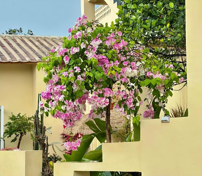 北海亲子游5天4晚价格跟团五日游报价冰球突破平台北海亲子跟团游多少钱？(图5)