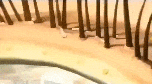 洗头干发神器！养出女明星绸缎发！冰球突破国产变态“抽水帽”入冬(图13)